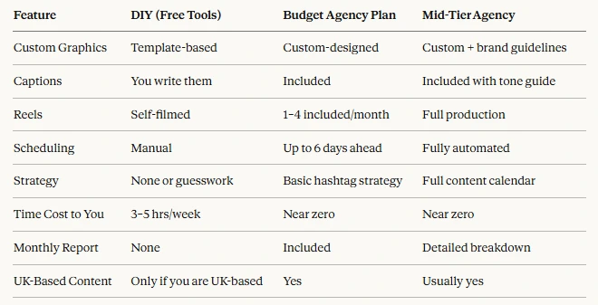 DIY vs Agency Feature Comparison Table