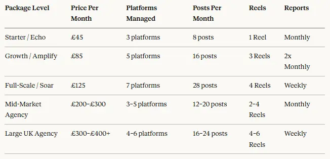 How to Choose the Right Social Media Management Company for Your Small Business 2 TABLE